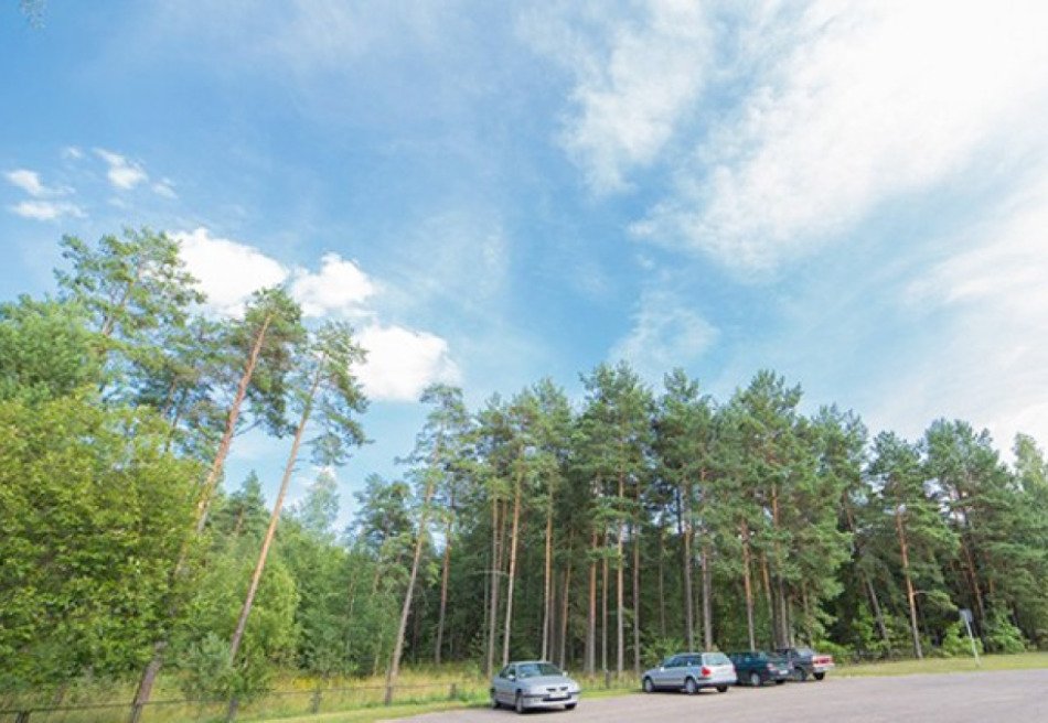 Серебряные ключи, Гомельская область