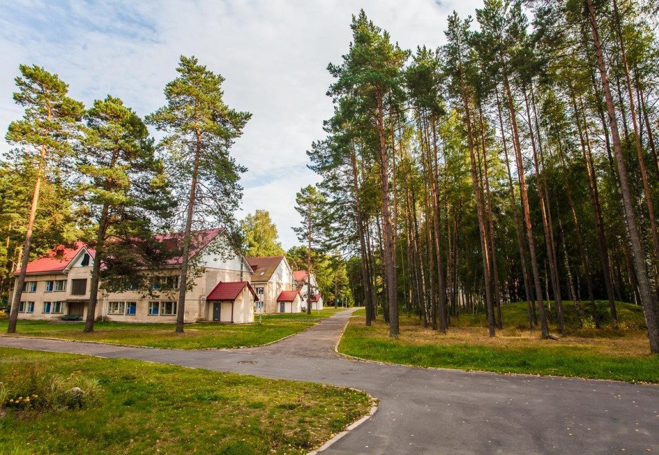 Чайка, Минская область