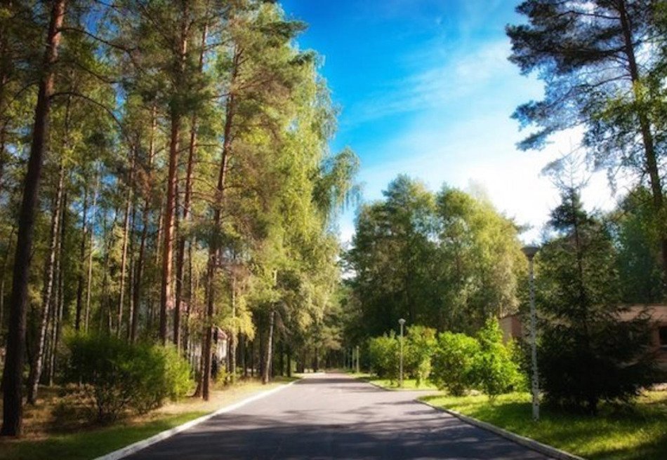 Чайка, Минская область