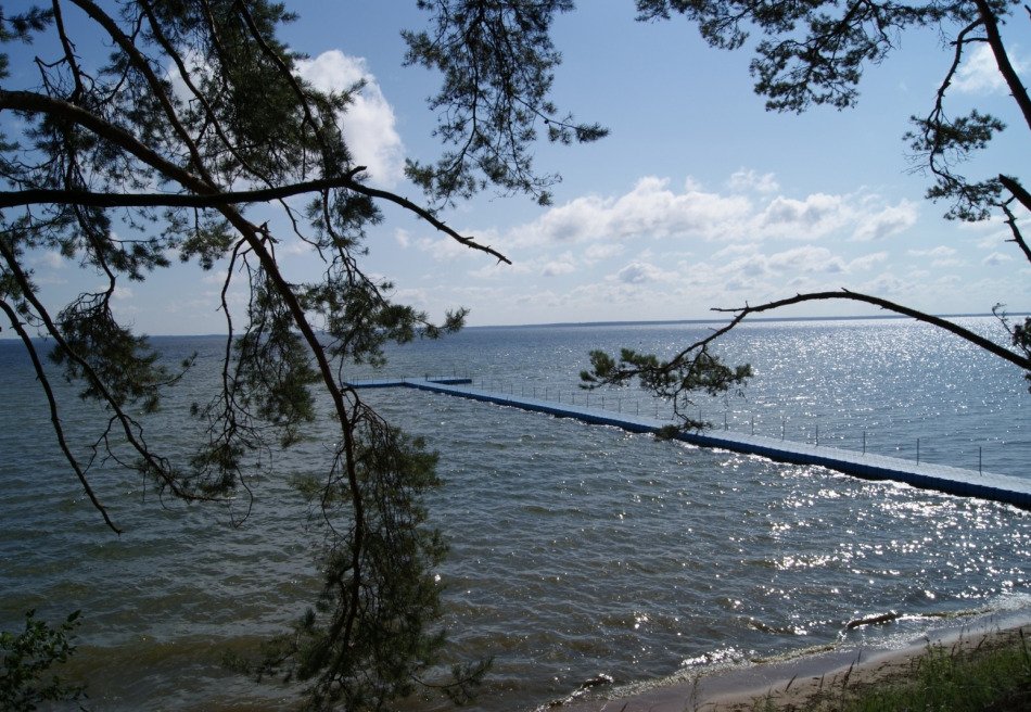 Чайка, Минская область