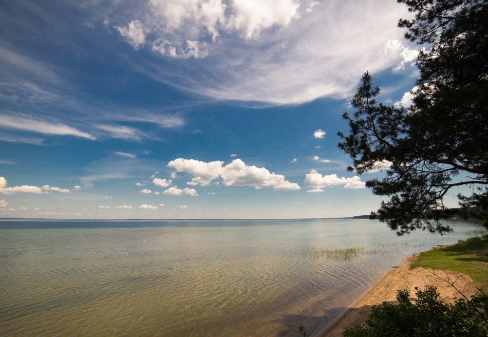 Чайка, Минская область