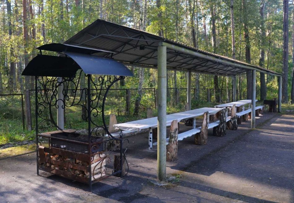 Чайка, Минская область