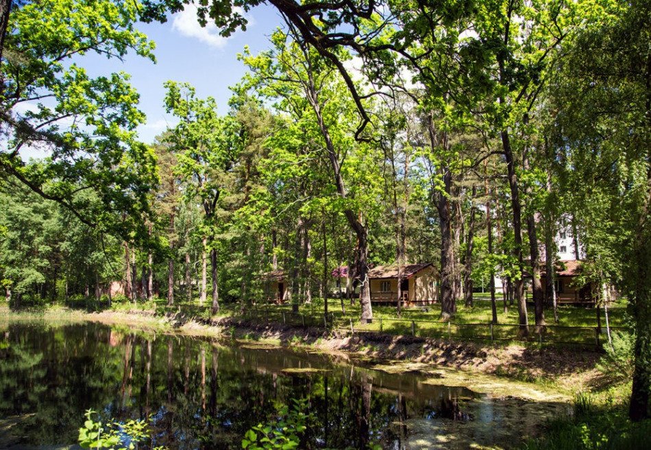Золотые пески (Гомель)