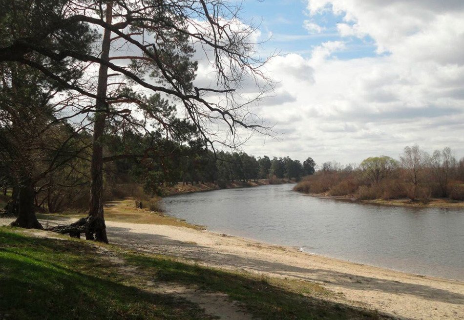 Машиностроитель