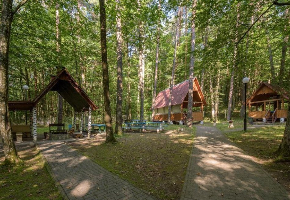 Пралеска (Грод. область)