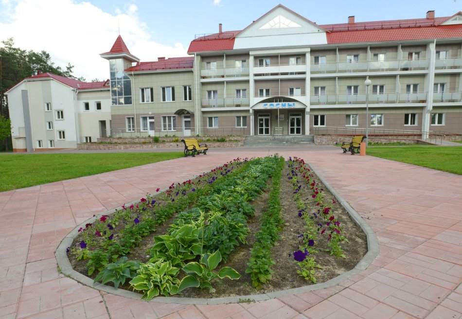 Сосны (Гомельская обл.)