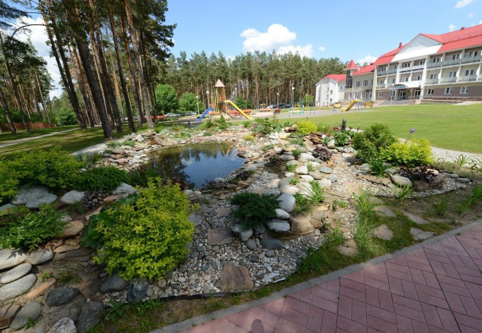 Сосны (Гомельская обл.)