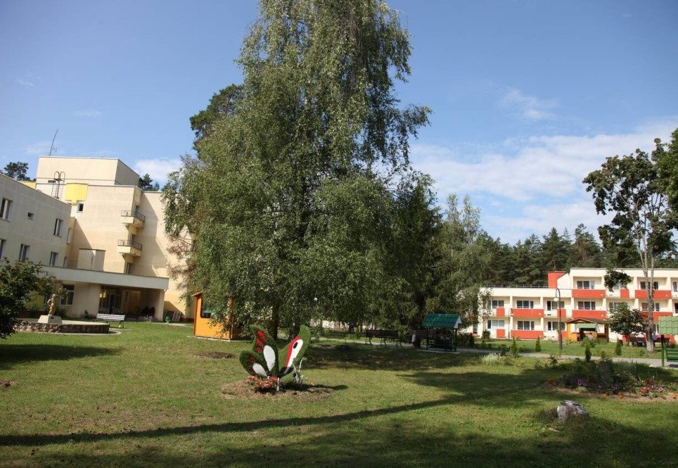 Березина (Борисов)