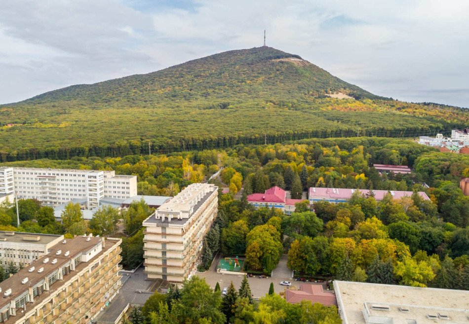 Лесная поляна