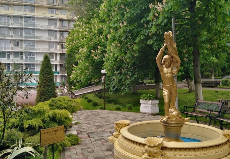 Лесная поляна